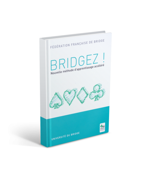 FFB Bridgez!