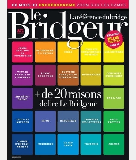 Bridgeur January 2014